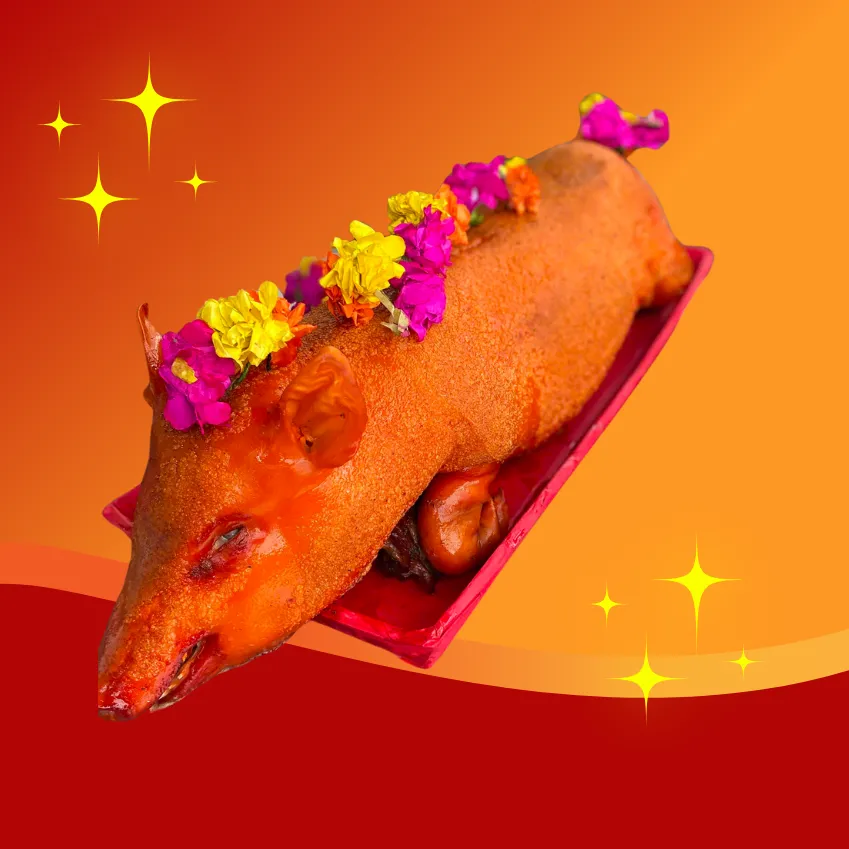 Heo Quay Nguyên Con