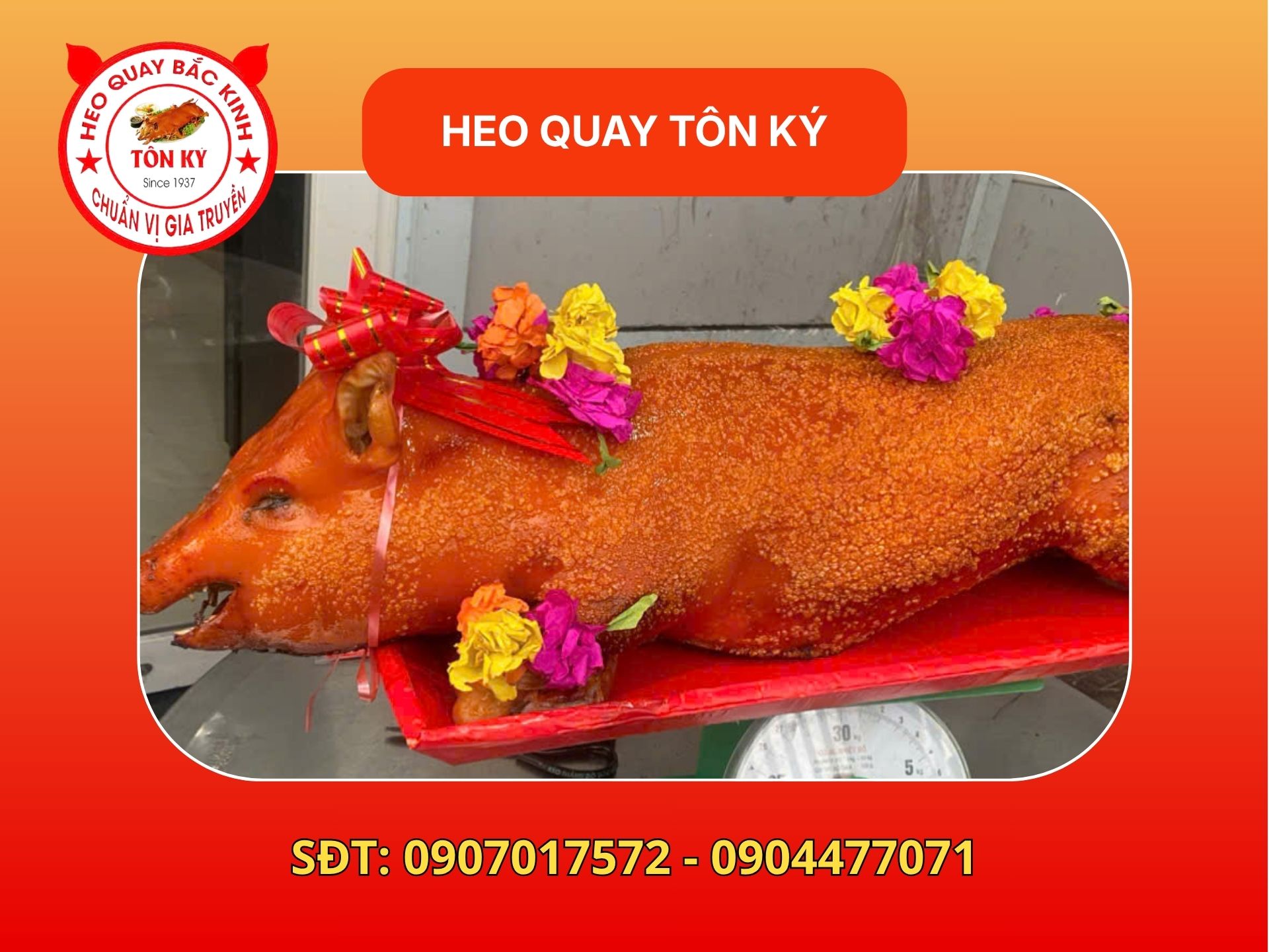 Cách chọn heo quay nguyên con 16 - 20kg chất lượng