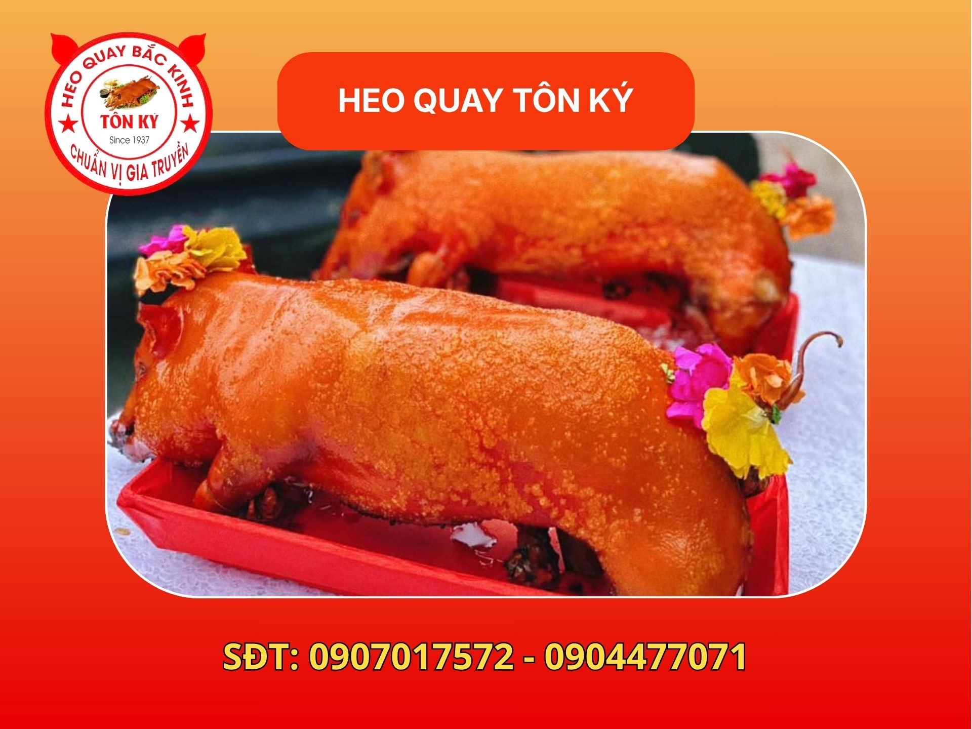 Cách chọn heo sữa quay 3kg chất lượng